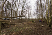 K1024_Harriersand-2018-02-17-012