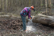 K1024_Harriersand-2018-02-17-042