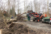 K1024_Harriersand-2018-02-17-066