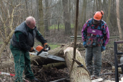 K1024_Harriersand-2018-02-17-075