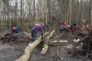 K1024_Harriersand-2018-02-17-106