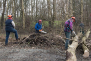 K1024_Harriersand-2018-02-17-108