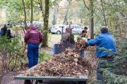 K1024_Harriersand-2018-10-20-082