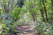 K1024_Harriersand-2018-10-20-188
