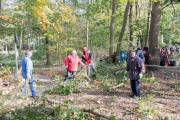 K1024_Harriersand-2018-10-20-335