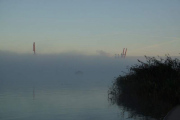 DSC02964-1-