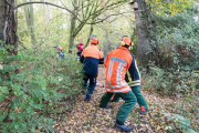 K1024_Harriersand-2018-10-20-025