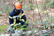 K1024_Harriersand-2018-10-20-051