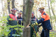 K1024_Harriersand-2018-10-20-057