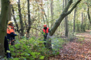 K1024_Harriersand-2018-10-20-065