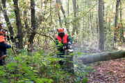 K1024_Harriersand-2018-10-20-068