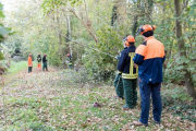 K1024_Harriersand-2018-10-20-107