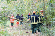 K1024_Harriersand-2018-10-20-114