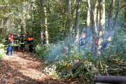 K1024_Harriersand-2018-10-20-208