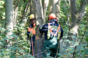K1024_Harriersand-2018-10-20-213