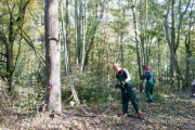 K1024_Harriersand-2018-10-20-244