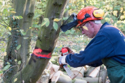 K1024_Harriersand-2018-10-20-249