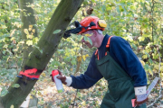 K1024_Harriersand-2018-10-20-250