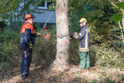 K1024_Harriersand-2018-10-20-257