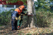 K1024_Harriersand-2018-10-20-261
