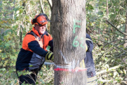 K1024_Harriersand-2018-10-20-271