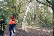 K1024_Harriersand-2018-10-20-273