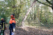 K1024_Harriersand-2018-10-20-274