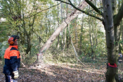 K1024_Harriersand-2018-10-20-275
