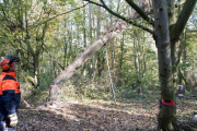 K1024_Harriersand-2018-10-20-276