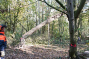 K1024_Harriersand-2018-10-20-277
