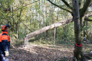 K1024_Harriersand-2018-10-20-278