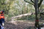 K1024_Harriersand-2018-10-20-279