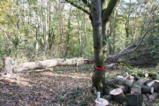 K1024_Harriersand-2018-10-20-281