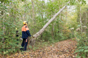 K1024_Harriersand-2018-10-20-305