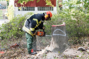 K1024_Harriersand-2018-10-20-346