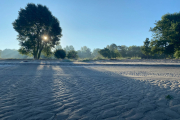 AS_20200819_0763