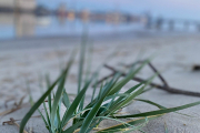 AS_20200915_1223