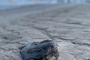 AS_20200915_1224
