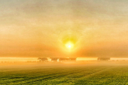 AS_20200922_1350