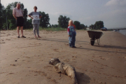 Strandbild-05a