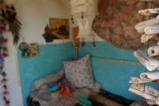 DSC04357